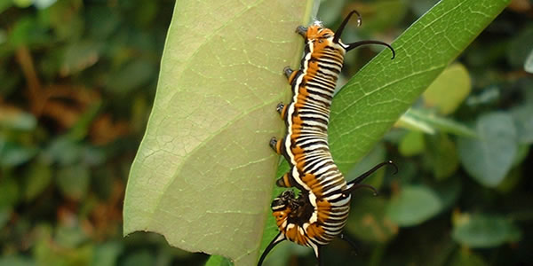 可以留电话的骚扰网站